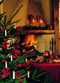 Julgransbelysning varmvit 16LED 7,5m Blanc De Konstsmide - Les ampoules E10 sont rempla&ccedil;ables et les lumi&egrave;res sont dispos&eacute;es sur un fil vert de 7,5 m&egrave;tres qui se fond harmonieusement dans les branches.