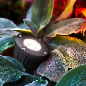 Luminius Gris foncé De Lightson - Pensez &agrave; installer un d&eacute;tecteur de luminosit&eacute; qui allume automatiquement l'&eacute;clairage &agrave; la tomb&eacute;e de la nuit.