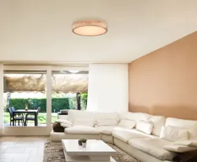 Rainer Ø40 Nature plafonnier De Globo Lighting - Lampan har &auml;ven en f&auml;rgv&auml;xlingsfunktion med m&ouml;jlighet att fixera en vald f&auml;rg, vilket g&ouml;r den b&aring;de flexibel och funktionell.