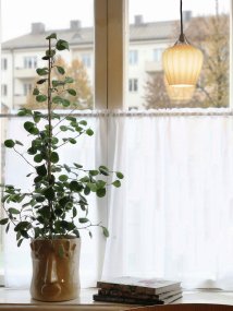 Amalfi Ø14 Abricot lampe de fenêtre De PR Home - Grâce à sa taille compacte, Amalfi est idéale pour un rebord de fenêtre et constitue un magnifique point focal, qu'elle soit allumée ou éteinte.