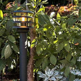 Jupiter Gris foncé De Lightson - Jupiter est une borne lumineuse &eacute;l&eacute;gante gris fonc&eacute; qui offre un &eacute;clairage agr&eacute;able et clair pour les all&eacute;es, les entr&eacute;es de garage et les chemins.