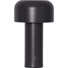 Bobby 22cm Gris foncé portable De Star Trading - Lampe de table d'intérieur rechargeable élégante avec trois options de température de couleur (blanc chaud, blanc froid et lumière du jour).