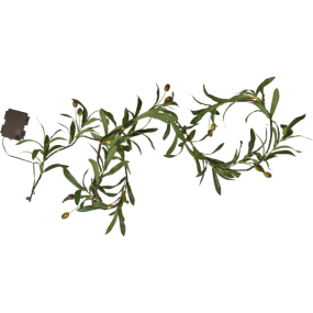 Guirlande Olivec 1,8m Vert De Star Trading - Pour prolonger sa dur&eacute;e de vie, &eacute;vitez une exposition prolong&eacute;e au soleil et rangez la guirlande &agrave; l'int&eacute;rieur.