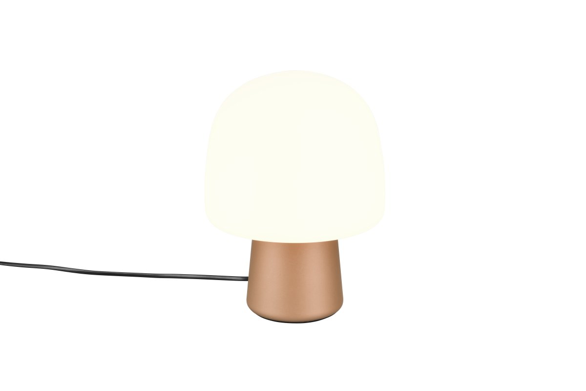 Steen 27cm Café lampe de table De Trio Lighting - 