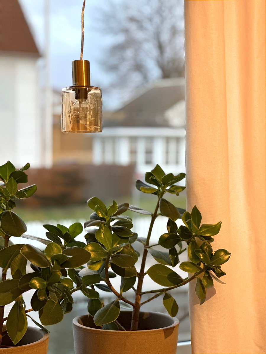 Cylinder Ø9 Laiton mat lampe de fenêtre De Aneta Lighting - Le câble mesure 4 mètres de long et dispose d'un interrupteur à courant moyen et d'une prise.