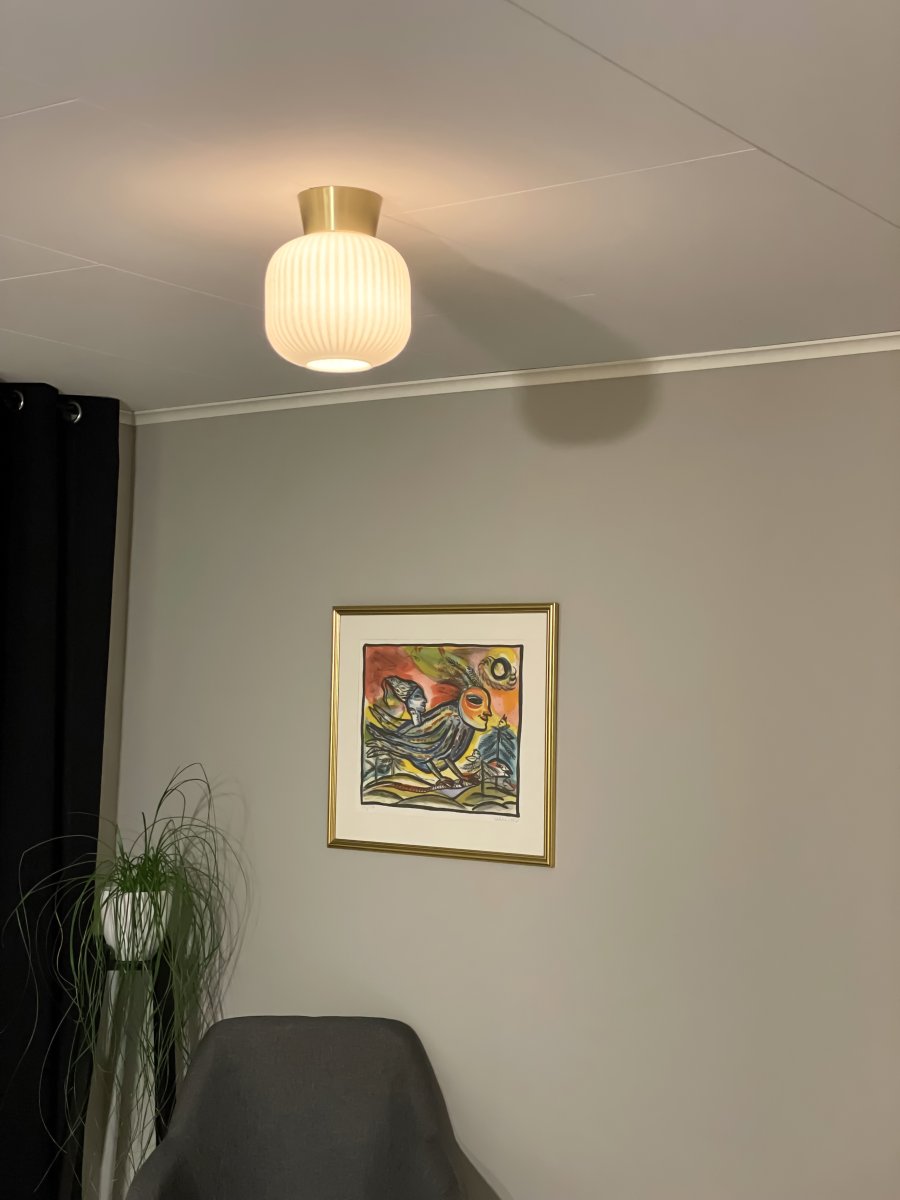 Vanja Ø20 Laiton/Blanc plafonnier De Aneta Lighting - Vanja est un petit plafonnier élégant, idéal pour les petites pièces comme les couloirs, les cuisines ou les chambres.