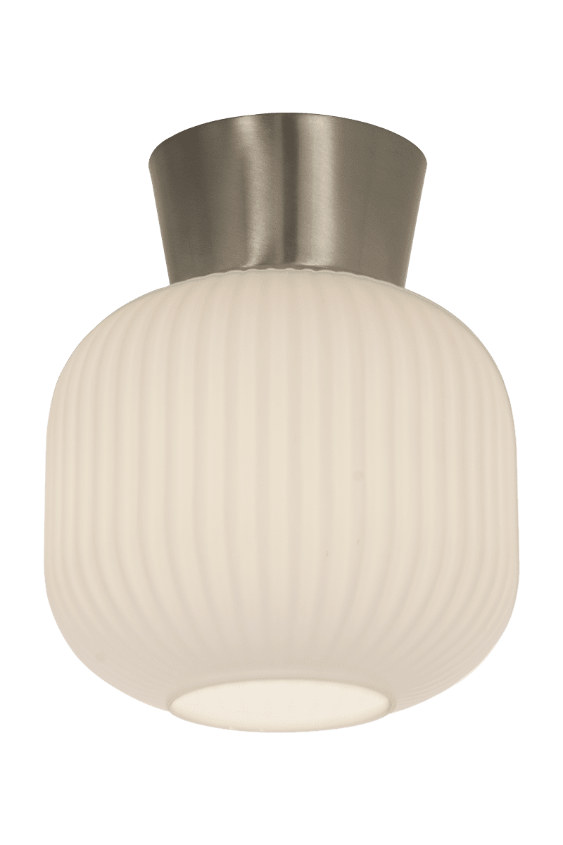 Vanja Ø20 Acier/Blanc plafonnier De Aneta Lighting - Le plafonnier Vanja, petit et élégant, est idéal pour les petites pièces comme les couloirs, les cuisines ou les chambres.