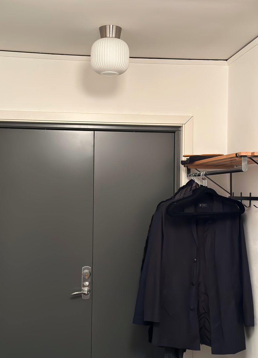 Vanja Ø20 Acier/Blanc plafonnier De Aneta Lighting - Le plafonnier Vanja, petit et élégant, est idéal pour les petites pièces comme les couloirs, les cuisines ou les chambres.