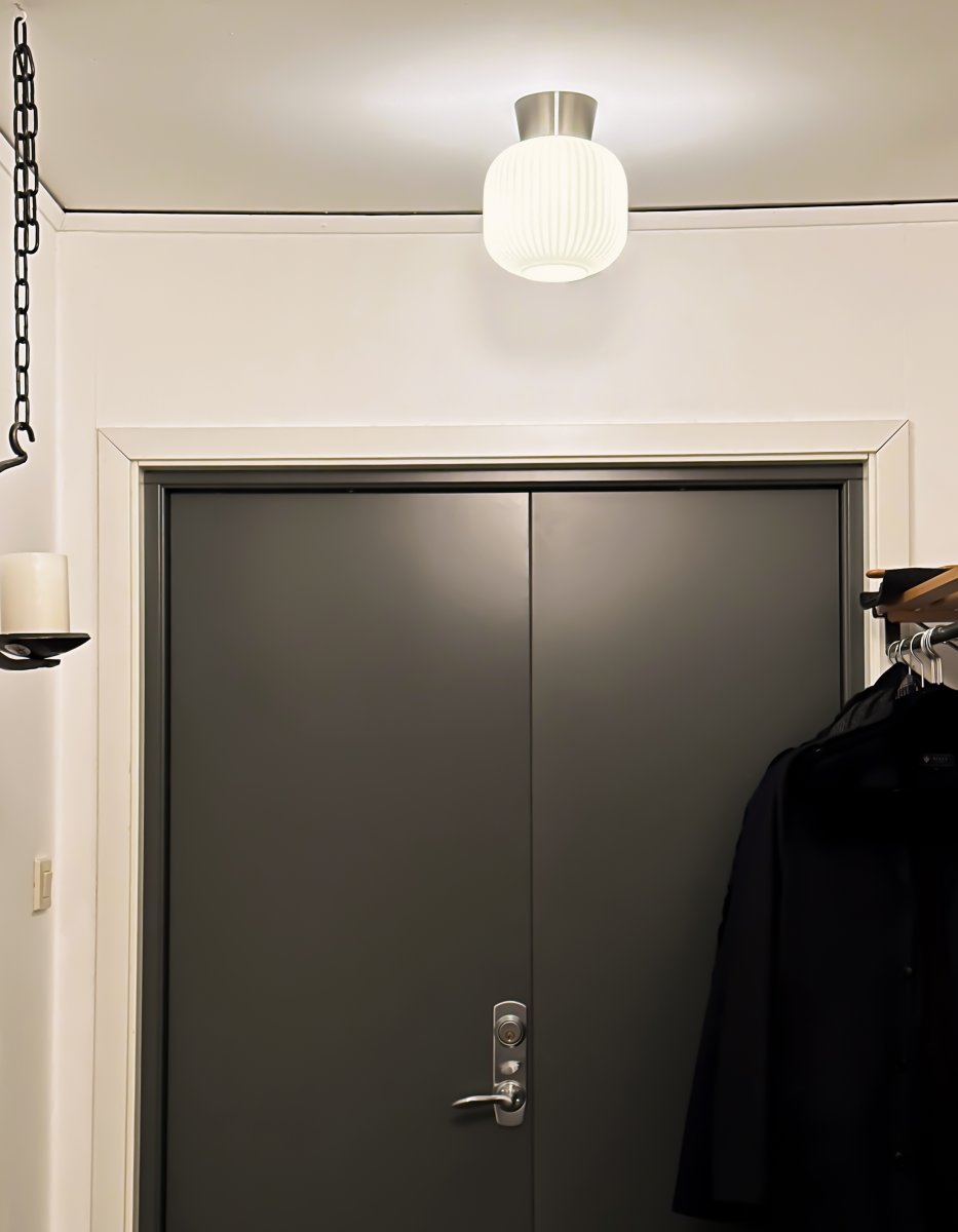 Vanja Ø20 Acier/Blanc plafonnier De Aneta Lighting - Le plafonnier Vanja, petit et élégant, est idéal pour les petites pièces comme les couloirs, les cuisines ou les chambres.