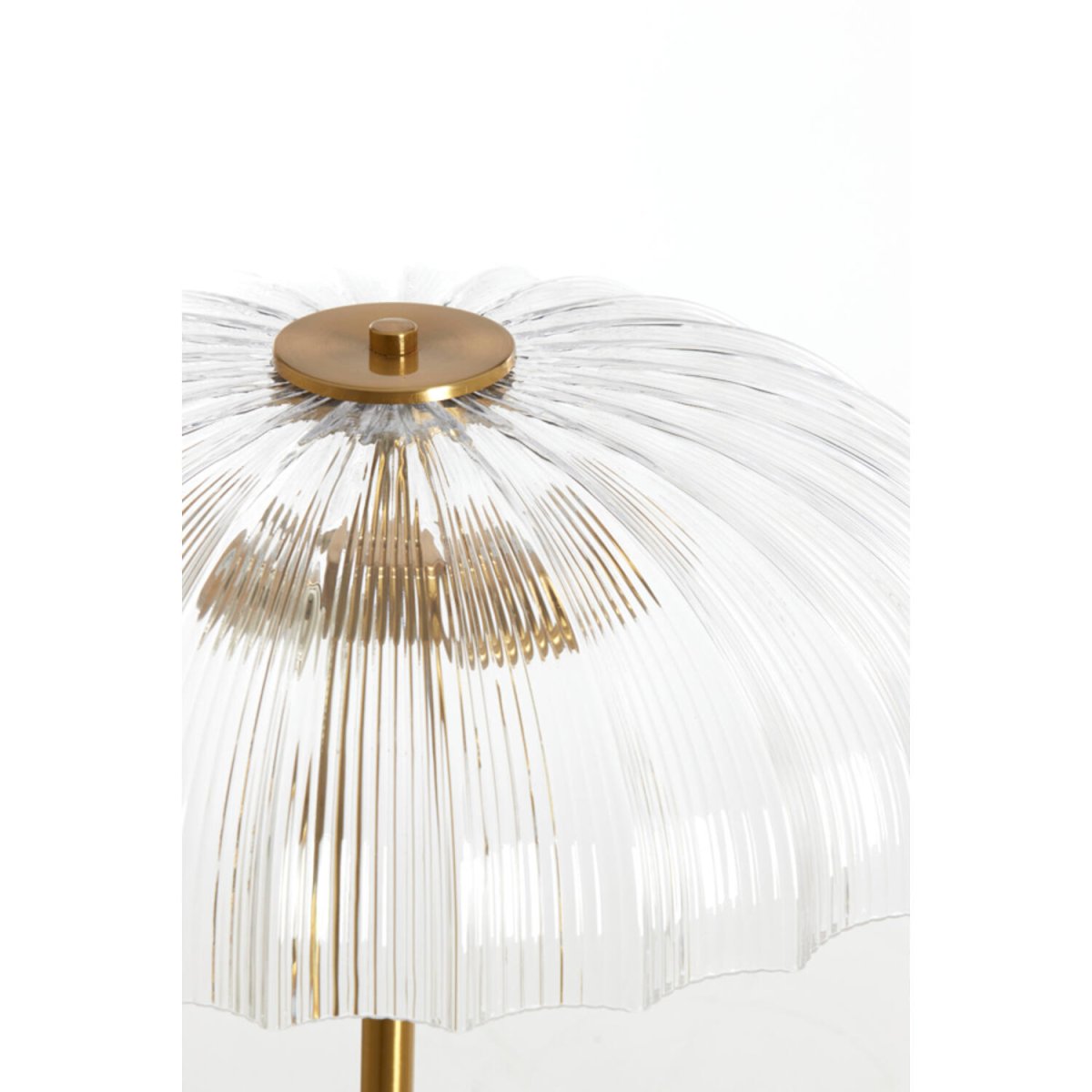 Fungo Or/transparent lampadaire De Light & Living - 