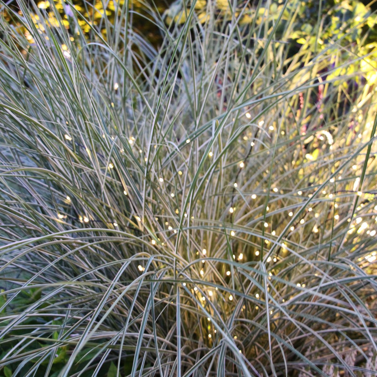 Twiggy Noir De Lightson - Pour une dur&eacute;e de vie optimale, nous recommandons de ne pas charger le transformateur &agrave; plus de 85 % de sa capacit&eacute; maximale.