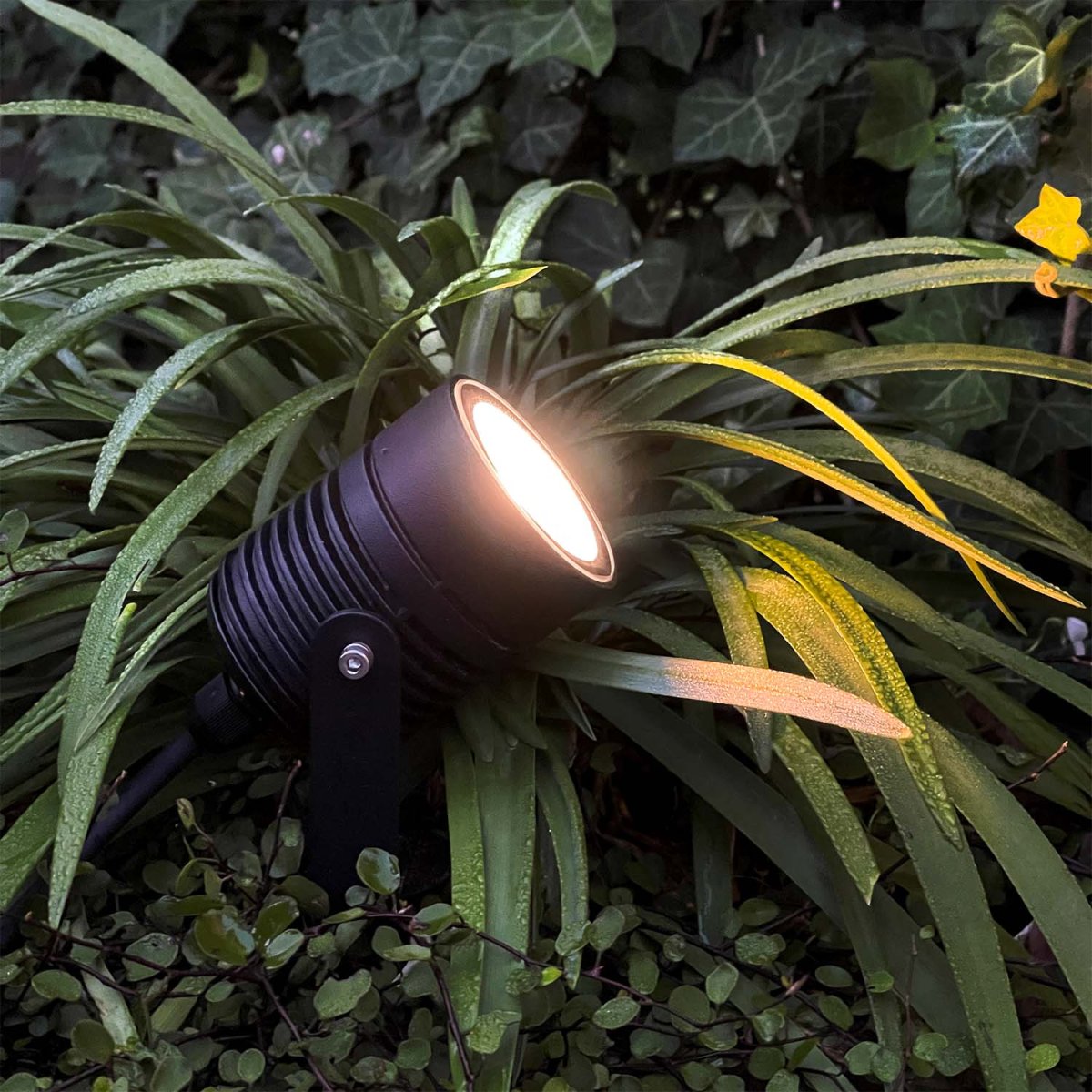 Nova Noir De Lightson - Avec Nova, vous pouvez régler l'intensité lumineuse et la température de la lumière (de la lumière froide à la lumière chaude) en fonction de vos besoins.