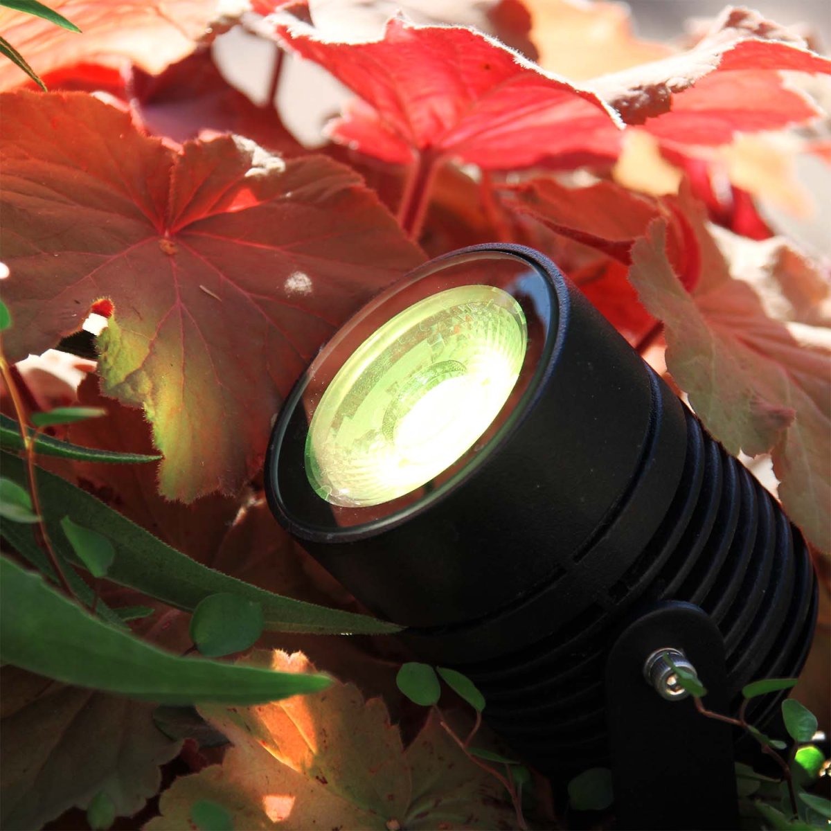 Arcus Noir De Lightson - Ajoutez de la vari&eacute;t&eacute; &agrave; votre jardin avec Arcus, notre projecteur de sol intelligent, o&ugrave; vous pouvez contr&ocirc;ler la couleur et la luminosit&eacute; &agrave; l'aide de l'application LightsOn Smart.