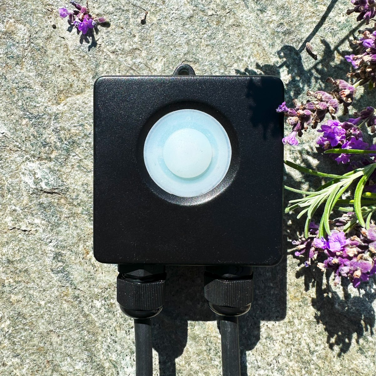 Smart Control Noir De Lightson - D&eacute;finissez quand vous souhaitez que les lumi&egrave;res s'allument et s'&eacute;teignent, et ajustez le niveau de gradation si la lumi&egrave;re semble trop vive (rappelez-vous que toutes les lumi&egrave;res ne sont pas dimmables, voir la liste ci-dessous).
