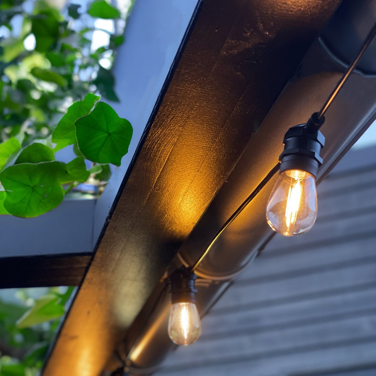 Cozy Start 5m Noir De Lightson - La boucle mesure 5m de long et est &eacute;quip&eacute;e de 10 sources lumineuses interchangeables + 5m de c&acirc;ble de connexion et transformateur.