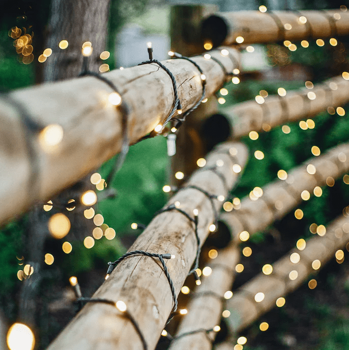 Twinky 20m Noir De Lightson - Id&eacute;ale pour illuminer les troncs d'arbres, les buissons, les cl&ocirc;tures et les murs, elle cr&eacute;e &eacute;galement un tapis lumineux d&eacute;licat dans les pots, sous les haies ou sur les fa&ccedil;ades, sublimant ainsi votre jardin.