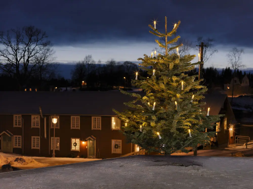 Guirlande Lumineuse Pour Sapin De Noël Blanc Chaud 25LED 20m Vert De Konstsmide - Indice de protection IP44 pour une utilisation int&eacute;rieure et ext&eacute;rieure &ndash; parfait pour le sapin de No&euml;l &agrave; l'int&eacute;rieur ou sur le balcon.
