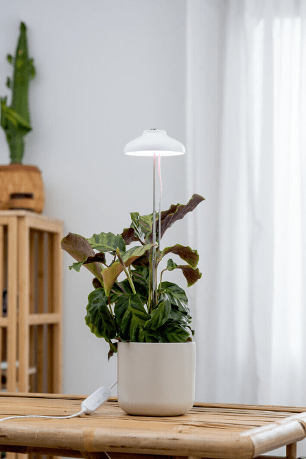 Lampe Pour Plantes Iris Blanc De Airam - La hauteur de l'arbre d'armature peut &ecirc;tre r&eacute;gl&eacute;e de 100 &agrave; 600 mm.
