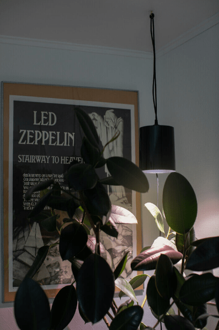 Lampe Pour Plantes Fiora Noir De Airam - Lampe de croissance suspendue pour plantes adapt&eacute;e aux lampes de culture dans les maisons ou les serres.