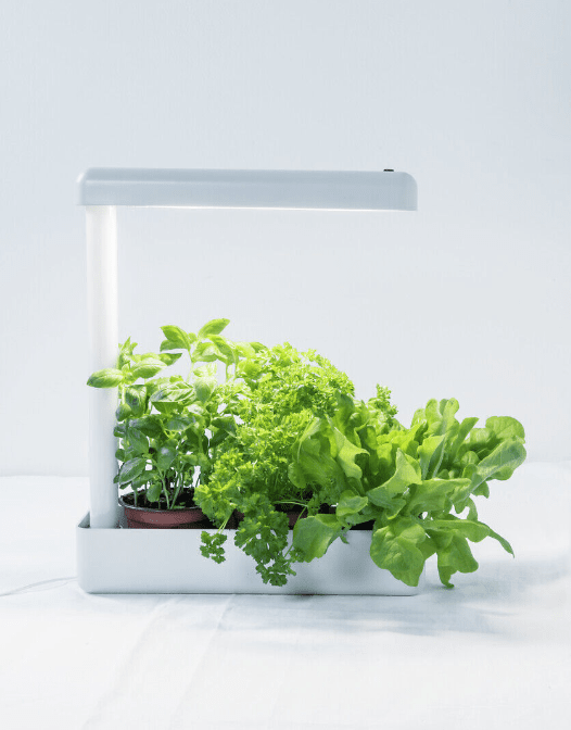 Lampe Pour Plantes Herby Blanc De Airam - La lampe de table et lampe &agrave; plantes LED Herby populaire peut &ecirc;tre utilis&eacute;e comme source de lumi&egrave;re pour les herbes, les pousses et les plantes en pot ainsi que comme lampe de table normale.