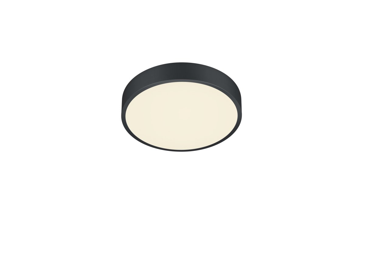 Waco Ø30 Noir plafonnier De Trio Lighting - 