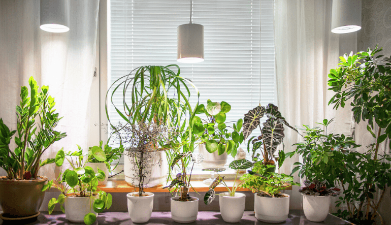 Lampe Pour Plantes Fiora Blanc De Airam - Lampe de croissance suspendue pour plantes adapt&eacute;e aux lampes de culture dans les maisons ou les serres.