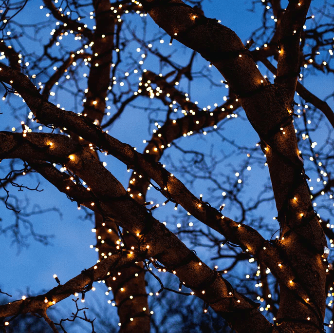 Twinky 20m Noir De Lightson - Id&eacute;ale pour illuminer les troncs d'arbres, les buissons, les cl&ocirc;tures et les murs, elle cr&eacute;e &eacute;galement un tapis lumineux d&eacute;licat dans les pots, sous les haies ou sur les fa&ccedil;ades, sublimant ainsi votre jardin.