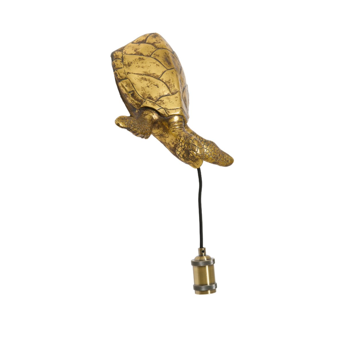 Turtle 20cm Bronze applique murale De Light & Living - 