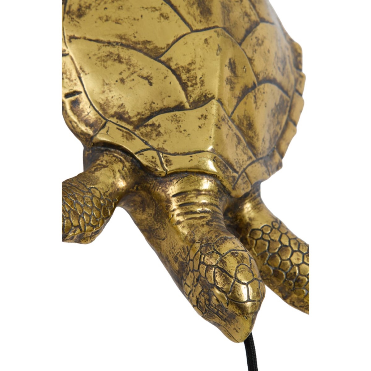 Turtle 20cm Bronze applique murale De Light & Living - 