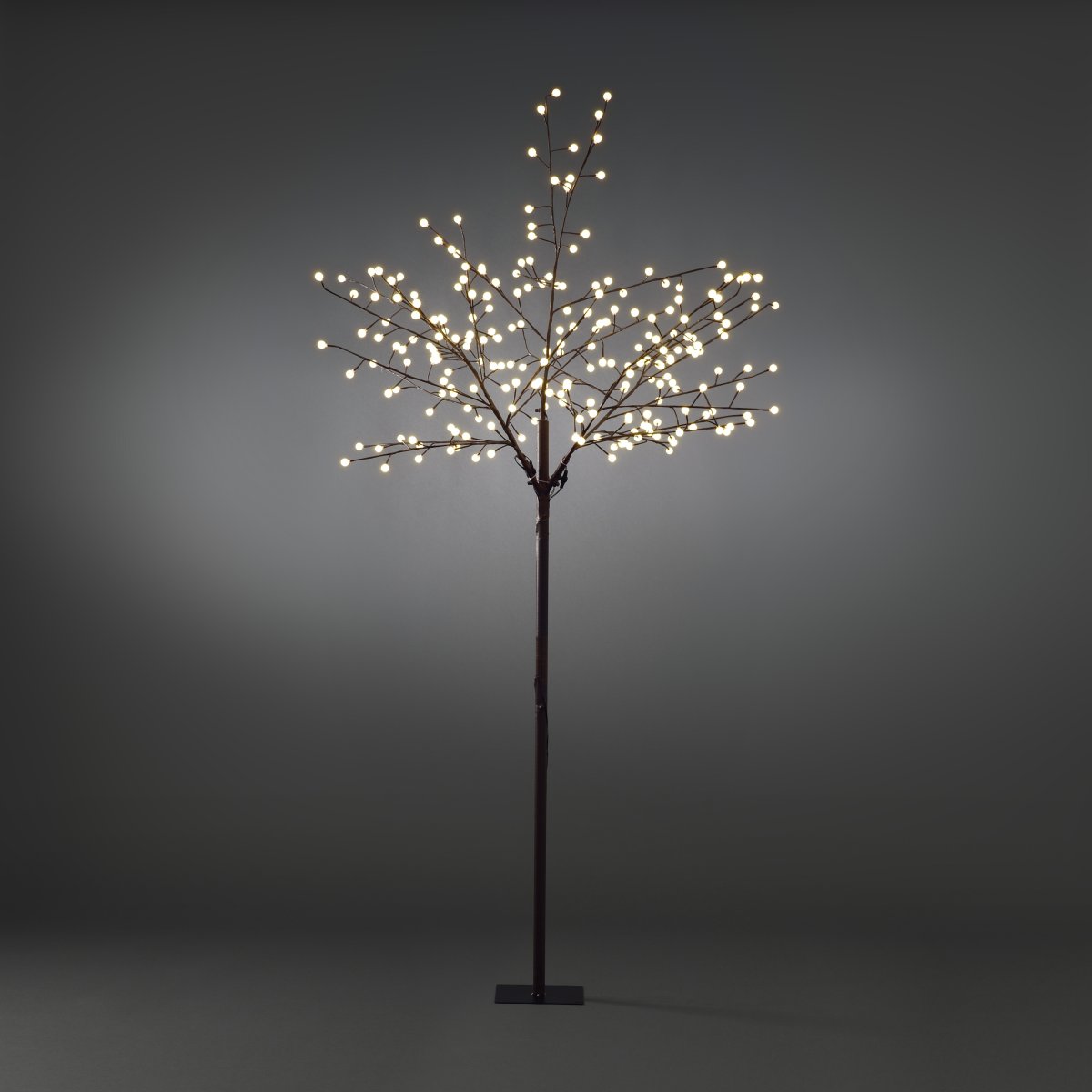 Arbre Marron 250cm Brun De Konstsmide - Cr&eacute;ez une atmosph&egrave;re charmante avec cette guirlande lumineuse &ndash; un favori d&eacute;coratif pour la saison de No&euml;l et toute l&rsquo;ann&eacute;e !