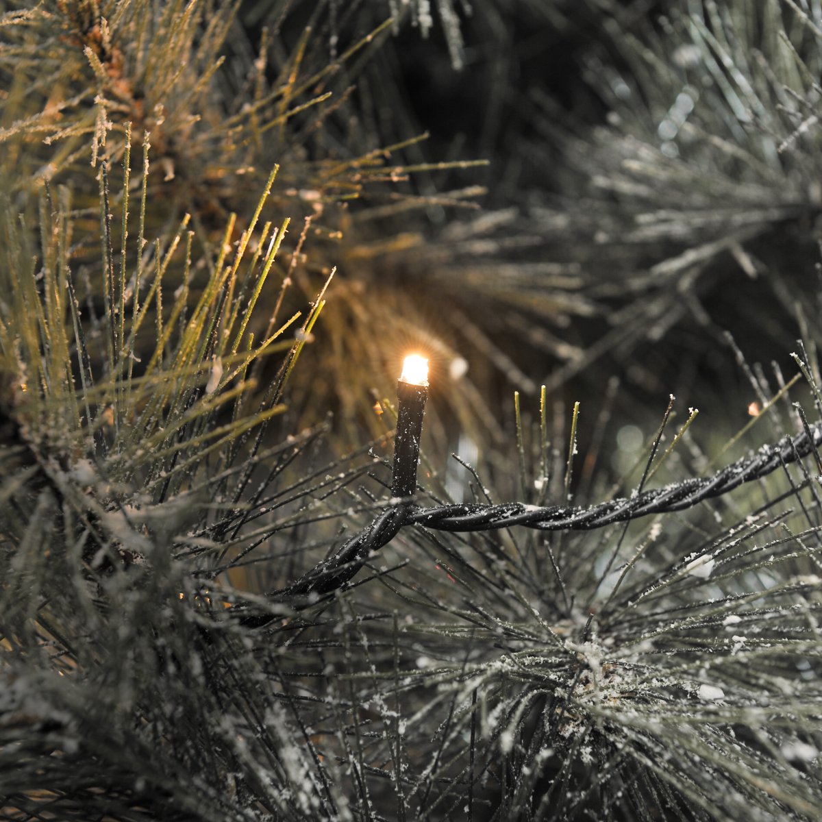 Guirlande lumineuse 200 LED ambre 25m Vert De Konstsmide - Cette guirlande lumineuse compos&eacute;e de 200 petites LED diffuse une lumi&egrave;re chaude et agr&eacute;able d'une temp&eacute;rature de couleur d'environ 2000 K.