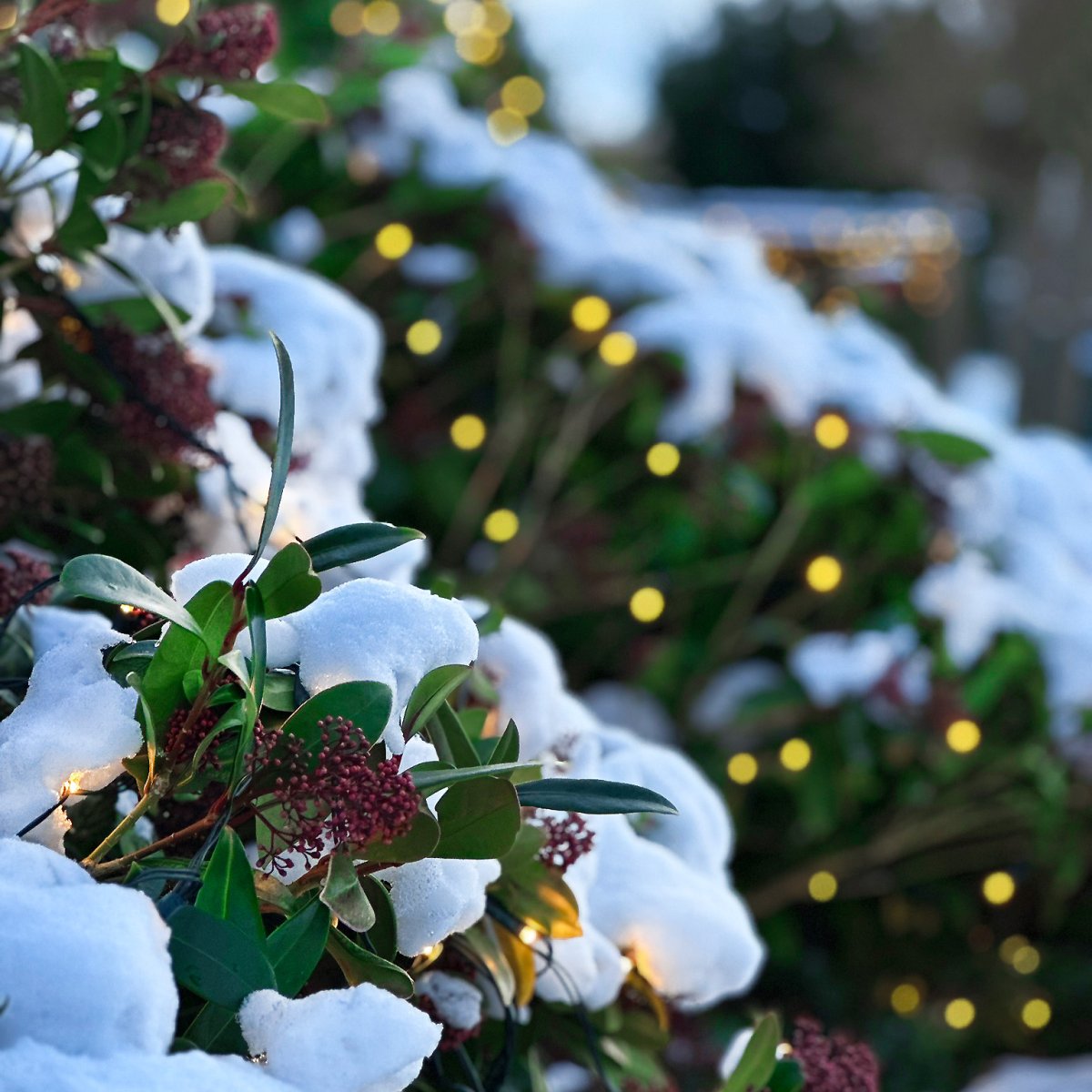 Net Vert foncé De Lightson - Pour une dur&eacute;e de vie optimale, nous recommandons de ne pas charger le transformateur &agrave; plus de 85 % de sa capacit&eacute; maximale.
