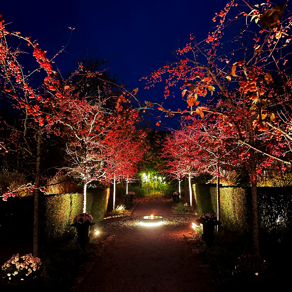 Arcus Noir De Lightson - Ajoutez de la vari&eacute;t&eacute; &agrave; votre jardin avec Arcus, notre projecteur de sol intelligent, o&ugrave; vous pouvez contr&ocirc;ler la couleur et la luminosit&eacute; &agrave; l'aide de l'application LightsOn Smart.
