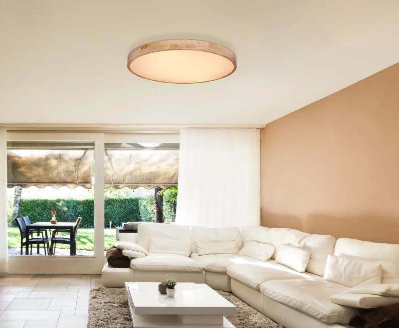 Rainer Ø80 Nature plafonnier De Globo Lighting - Lampan har &auml;ven en f&auml;rgv&auml;xlingsfunktion med m&ouml;jlighet att fixera en vald f&auml;rg, vilket g&ouml;r den b&aring;de flexibel och funktionell.