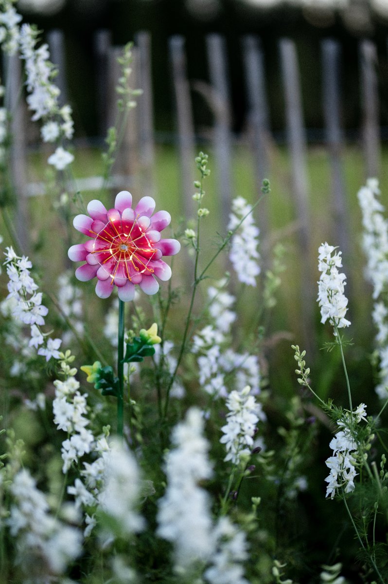 Daisy Rose lampe solaire De Star Trading - La fleur en métal découpée est une belle décoration et peut facilement être placée dans une plantation dans le jardin ou sur une table.
