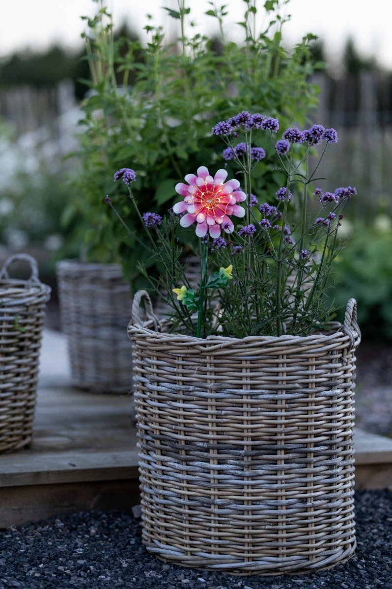 Daisy Rose lampe solaire De Star Trading - La fleur en métal découpée est une belle décoration et peut facilement être placée dans une plantation dans le jardin ou sur une table.