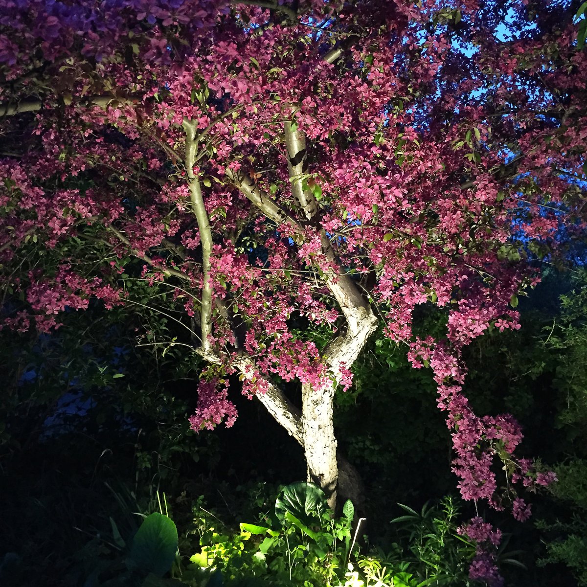 Luna Argent De Lightson - Vous pouvez &eacute;galement utiliser Luna sur les murs de la maison, dans les avant-toits et sur la cl&ocirc;ture, car le piquet est amovible et peut &ecirc;tre viss&eacute; directement dans le sol.