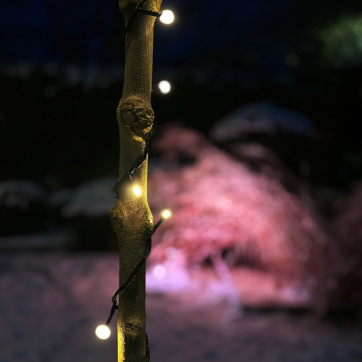 Glimmer Noir De Lightson - Comprend : 10 m&egrave;tres de cha&icirc;ne lumineuse (+ 3 m&egrave;tres de c&acirc;ble de d&eacute;marrage) et un convertisseur AC/DC, qui se connecte avant (en premier) la cha&icirc;ne.