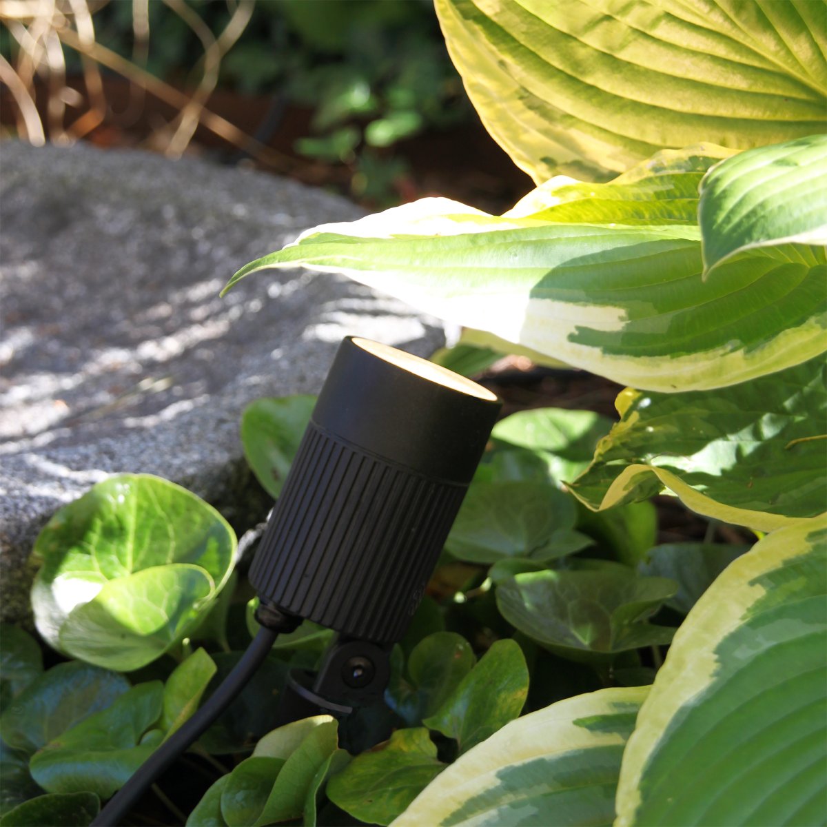 Medusa Noir De Lightson - Pour une durée de vie optimale, nous recommandons de ne pas charger le transformateur à plus de 85 % de sa capacité maximale.
