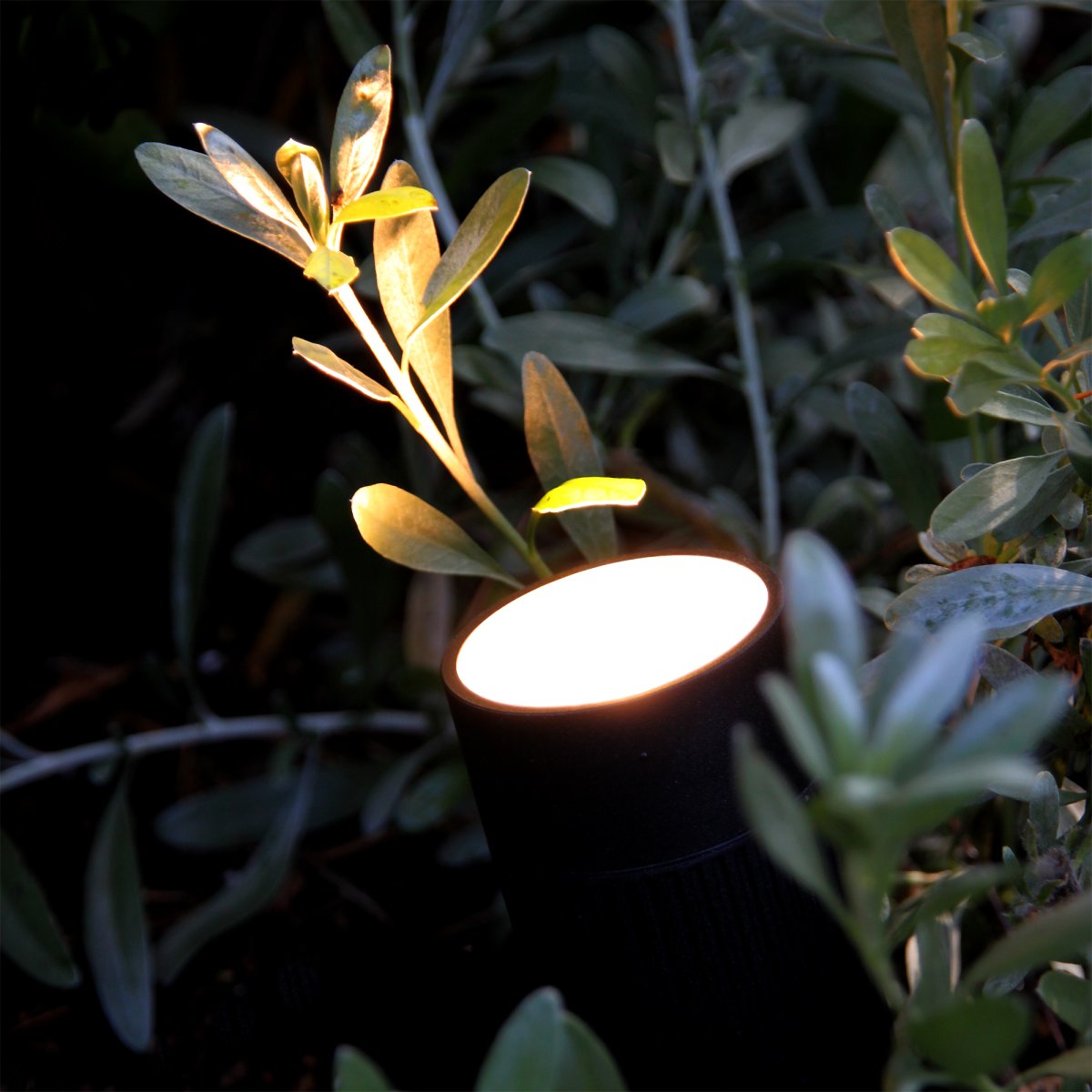 Medusa Noir De Lightson - Pour une durée de vie optimale, nous recommandons de ne pas charger le transformateur à plus de 85 % de sa capacité maximale.