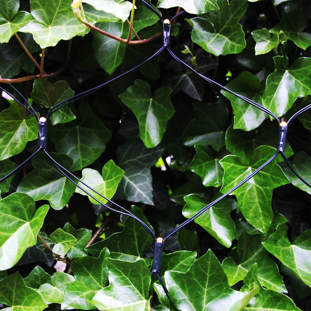 Net Vert foncé De Lightson - Pour une dur&eacute;e de vie optimale, nous recommandons de ne pas charger le transformateur &agrave; plus de 85 % de sa capacit&eacute; maximale.