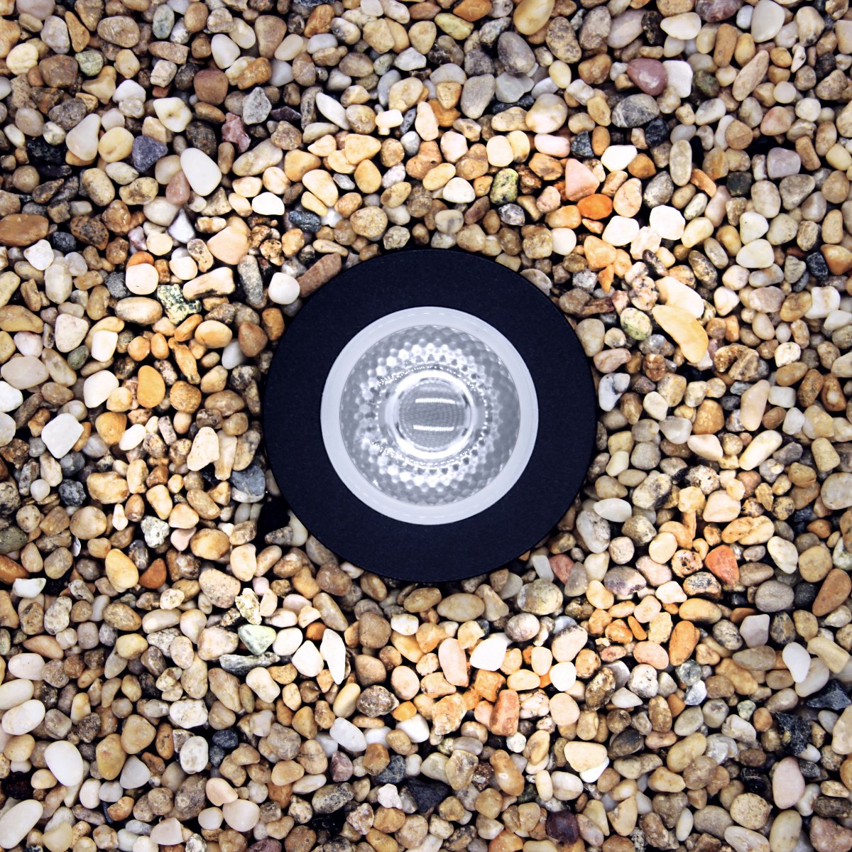 Capella Noir De Lightson - Si vous avez un groupe de petits fils, vous pouvez placer quelques morceaux de Capella entre eux pour projeter une lumière plate sur tout le bosquet d'arbres.