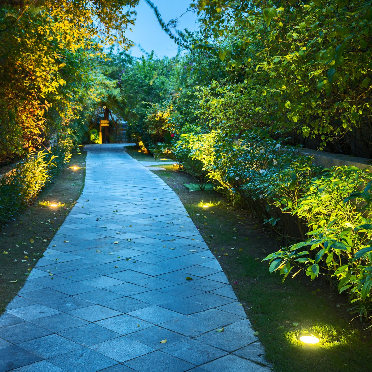 Capella Noir De Lightson - Si vous avez un groupe de petits fils, vous pouvez placer quelques morceaux de Capella entre eux pour projeter une lumière plate sur tout le bosquet d'arbres.