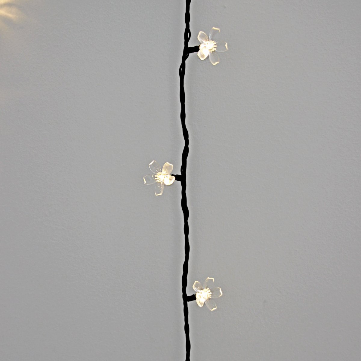 Bloom Noir De Lightson - Comprend : 10 mètres de chaîne lumineuse (+ 3 mètres de câble de démarrage) et un convertisseur AC/DC, qui se connecte avant la (première) chaîne.