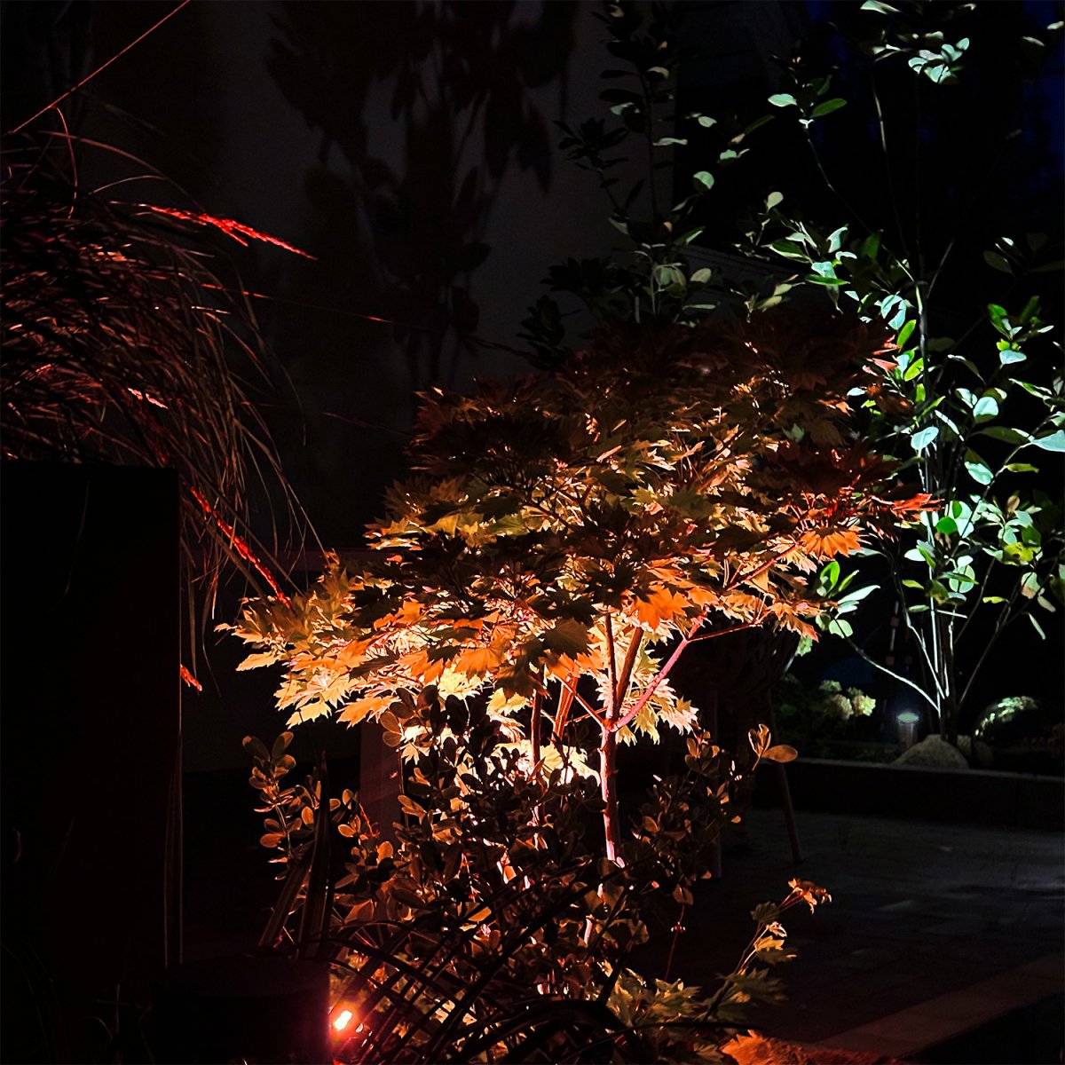 Arcus Noir De Lightson - Ajoutez de la vari&eacute;t&eacute; &agrave; votre jardin avec Arcus, notre projecteur de sol intelligent, o&ugrave; vous pouvez contr&ocirc;ler la couleur et la luminosit&eacute; &agrave; l'aide de l'application LightsOn Smart.