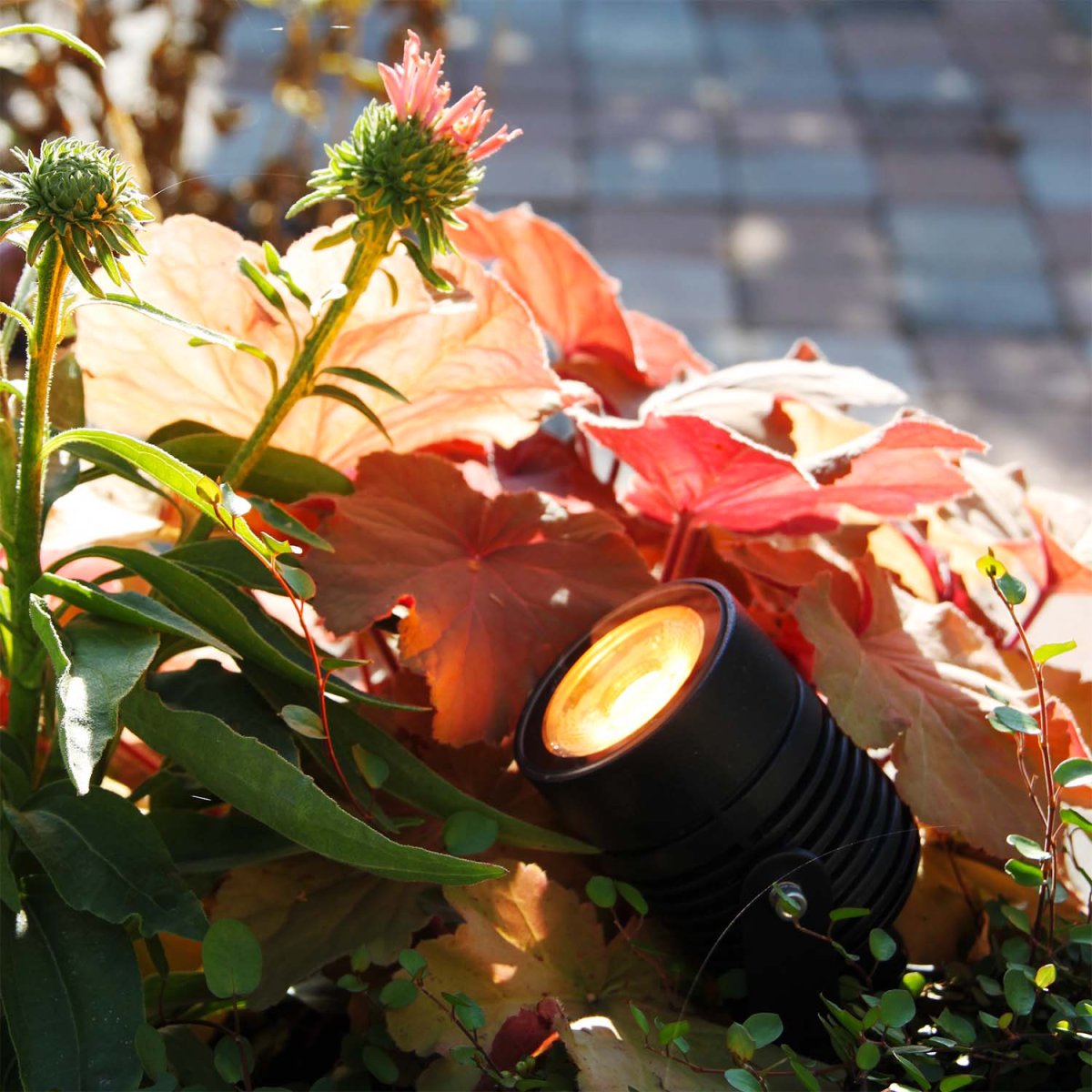 Arcus Noir De Lightson - Ajoutez de la vari&eacute;t&eacute; &agrave; votre jardin avec Arcus, notre projecteur de sol intelligent, o&ugrave; vous pouvez contr&ocirc;ler la couleur et la luminosit&eacute; &agrave; l'aide de l'application LightsOn Smart.