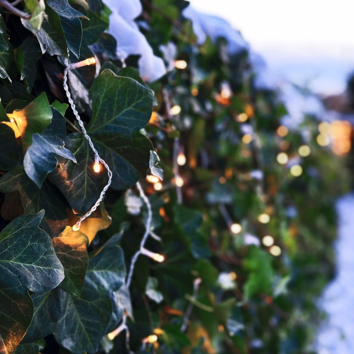 Ice Transparent De Lightson - Avec une longueur totale de 10 m (+ 3 m de c&acirc;ble de d&eacute;marrage), Ice est parfait pour &ecirc;tre plac&eacute; &agrave; l'ombre/sur le toit ; cette cl&ocirc;ture ainsi que le long des cl&ocirc;tures et des murs.