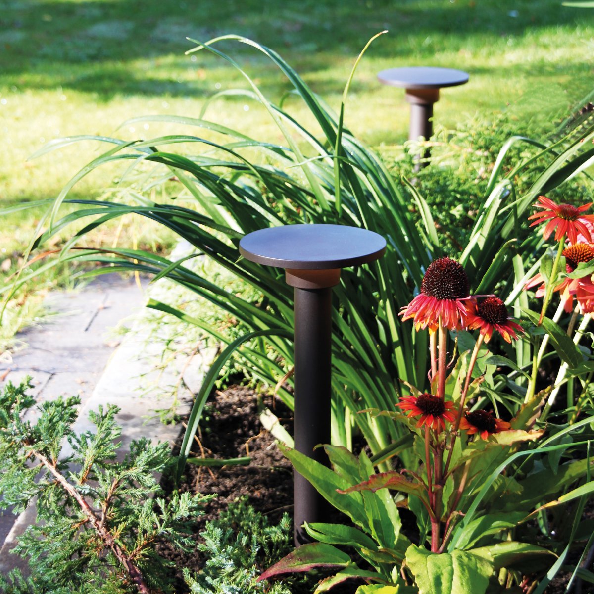 Orbit Gris foncé De Lightson - Même utilisé verticalement dans un parterre de fleurs, il est efficace et illumine les plantes environnantes, tandis que la lampe assure une répartition uniforme et fine de la lumière.