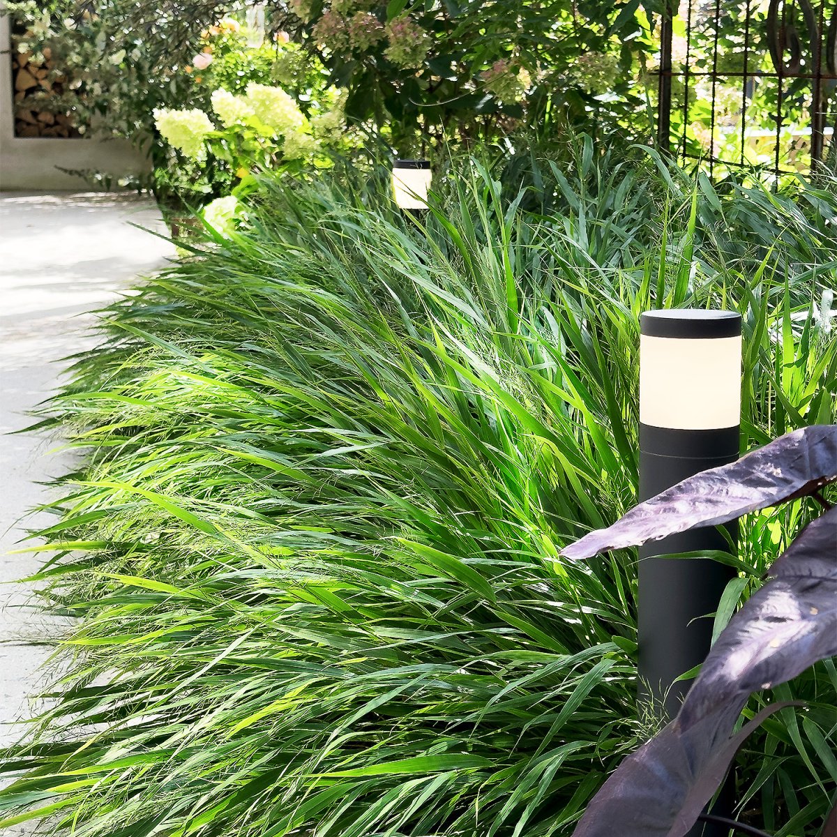 Polly Gris foncé De Lightson - Il crée également de beaux effets lorsqu'il est placé dans un parterre de fleurs ou un buisson où vous souhaitez une lumière diffuse dans la zone immédiate.