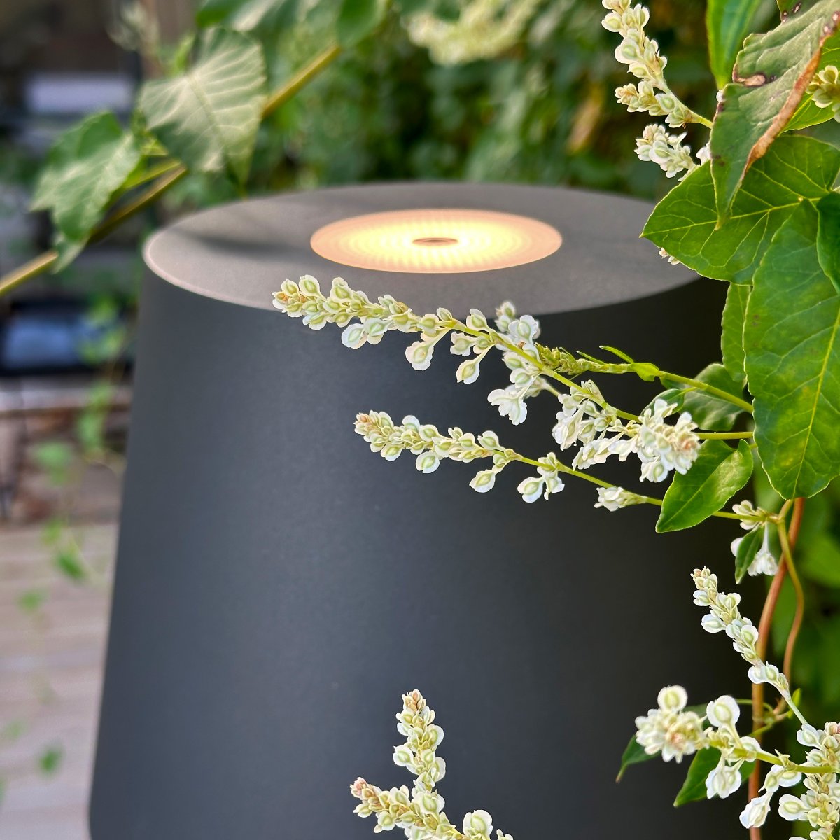 Sofy Gris foncé De Lightson - Avec sa forme &eacute;l&eacute;gante et sa lumi&egrave;re blanche chaude et douce, Sofy devient une source de lumi&egrave;re naturelle id&eacute;ale pour les salons de jardin, les terrasses ou les pergolas.